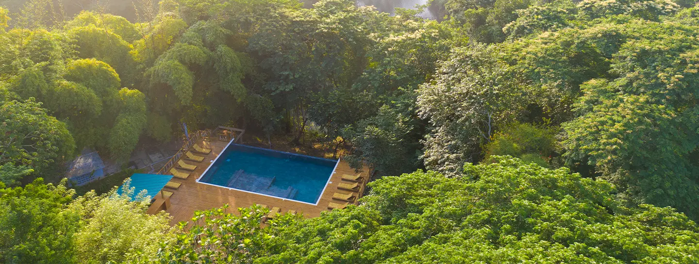 Aerial view of the jungle pool at Sweet Songs Jungle Lodge